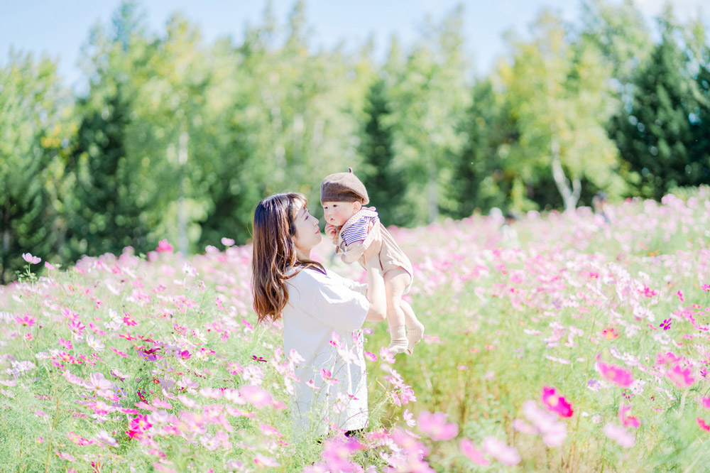 コスモス畑の親子